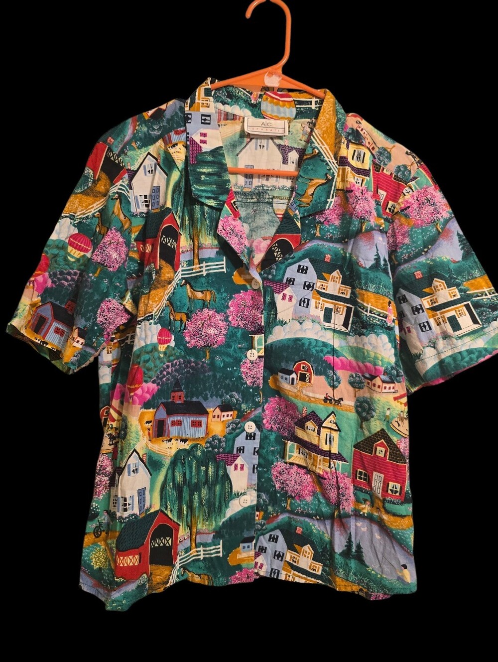 Vintage | Farm Country Colorful Button Down